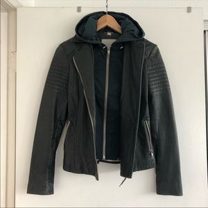 Leather Jacket - Soia & Kyo